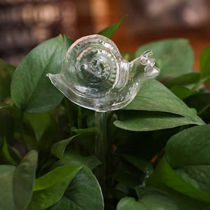 Bird Shaped Plant Self Watering Glass Globes™