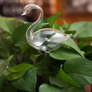 Bird Shaped Plant Self Watering Glass Globes™