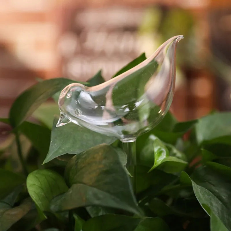 Bird Shaped Plant Self Watering Glass Globes™