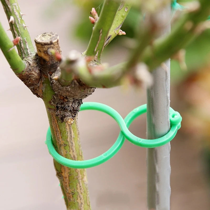 Garden Plant Holder™