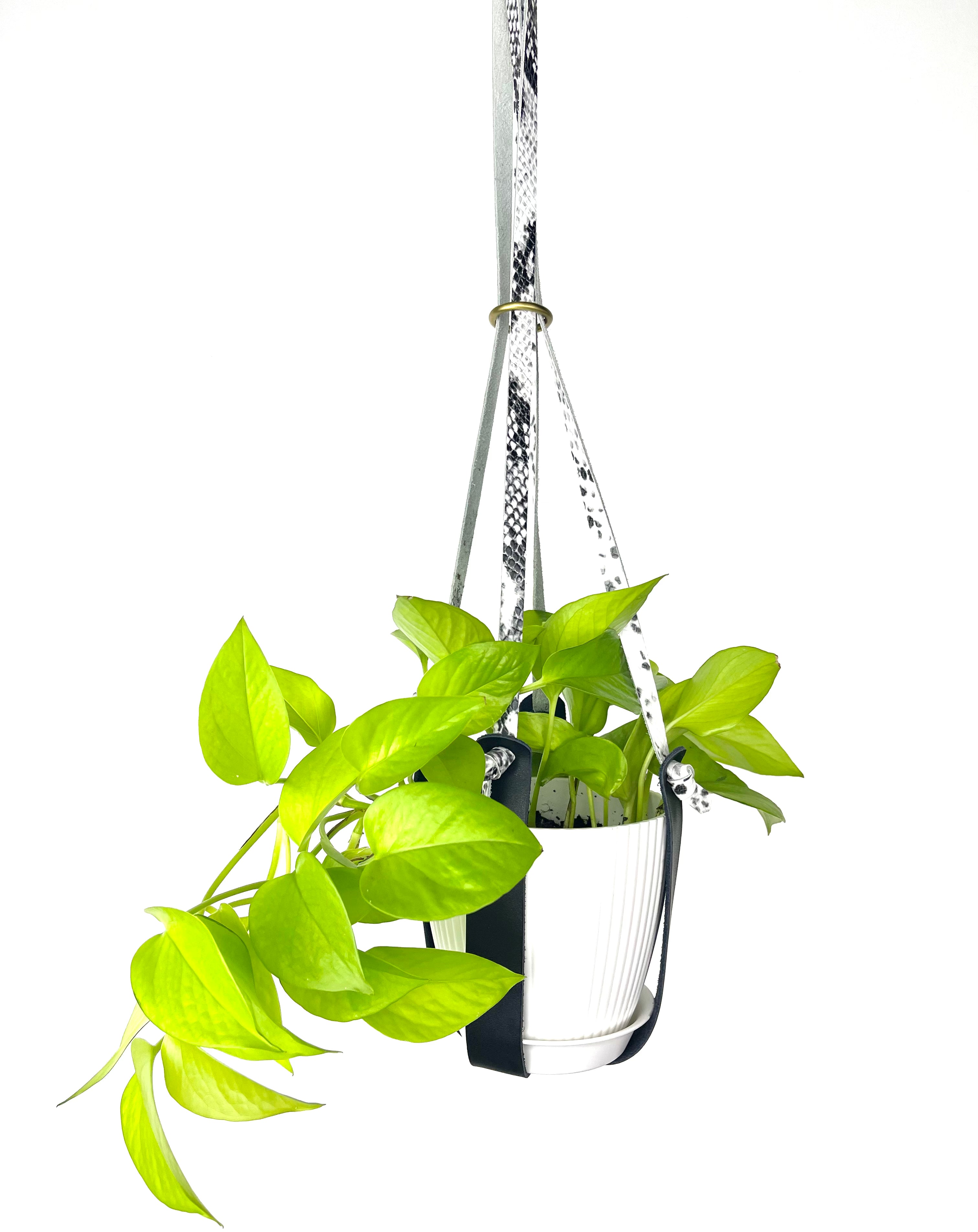 Genuine Leather Plant Hanger + Pot | Minimalist Hanging Planter | Modern Indoor/Outdoor Décor