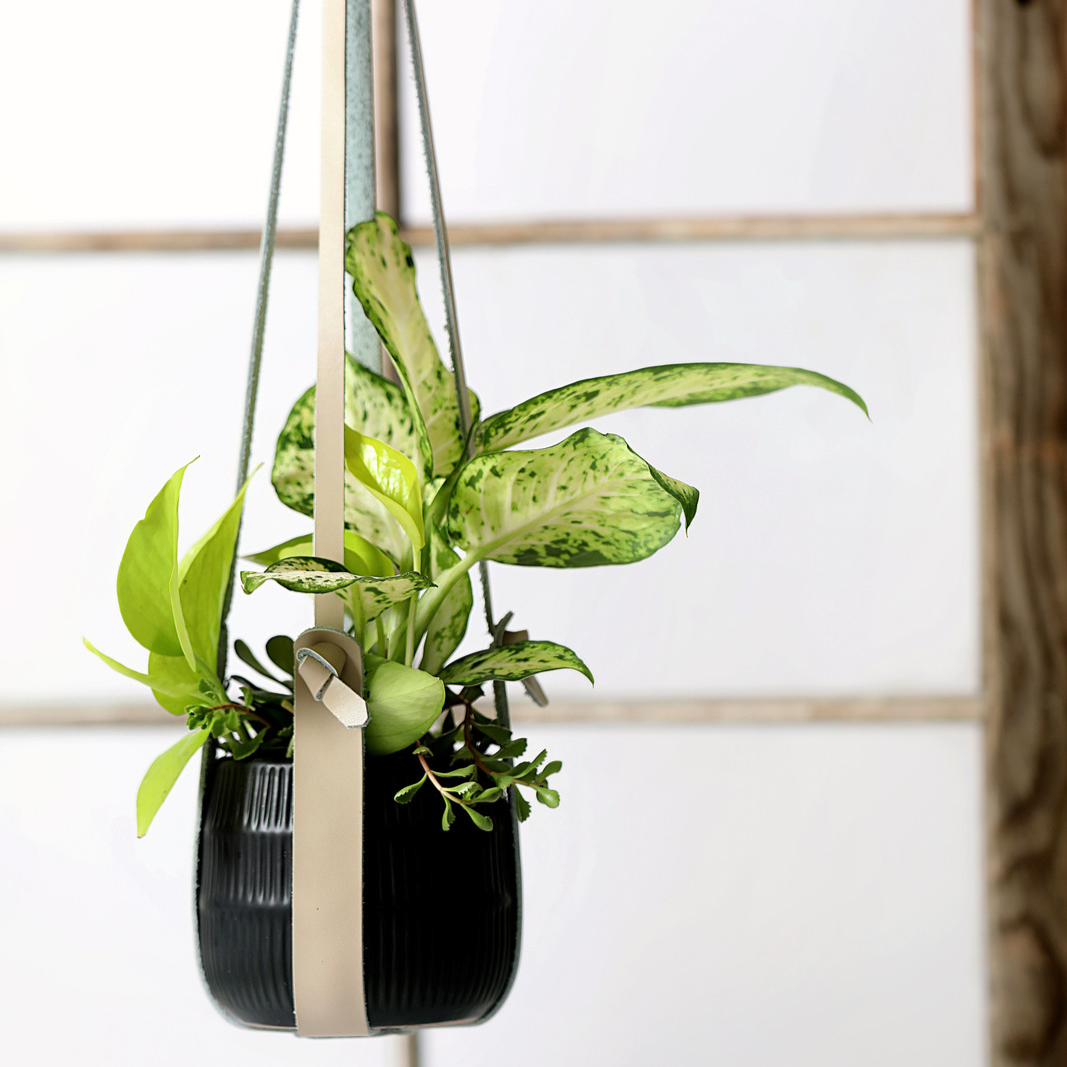 Genuine Leather Plant Hanger + Pot | Minimalist Hanging Planter | Modern Indoor/Outdoor Décor