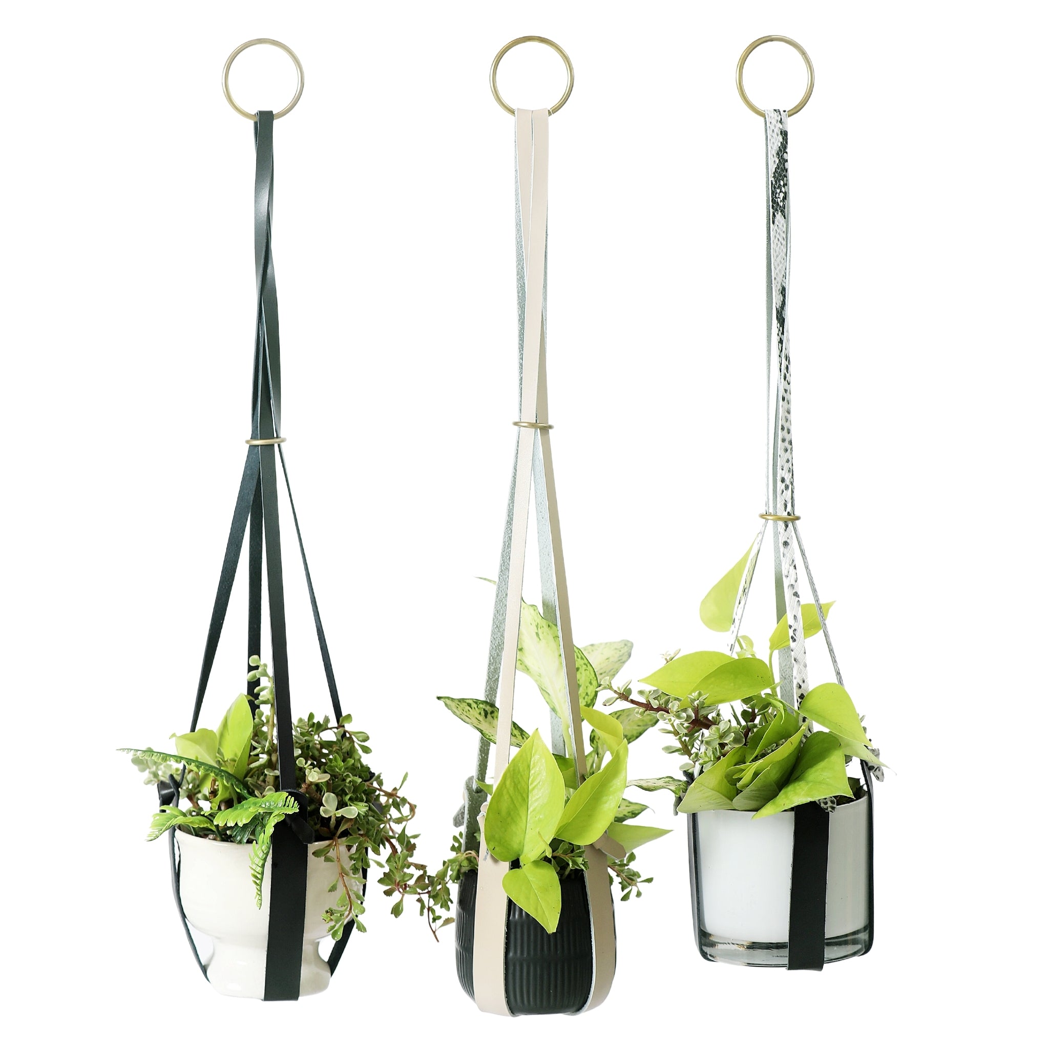 Genuine Leather Plant Hanger + Pot | Minimalist Hanging Planter | Modern Indoor/Outdoor Décor