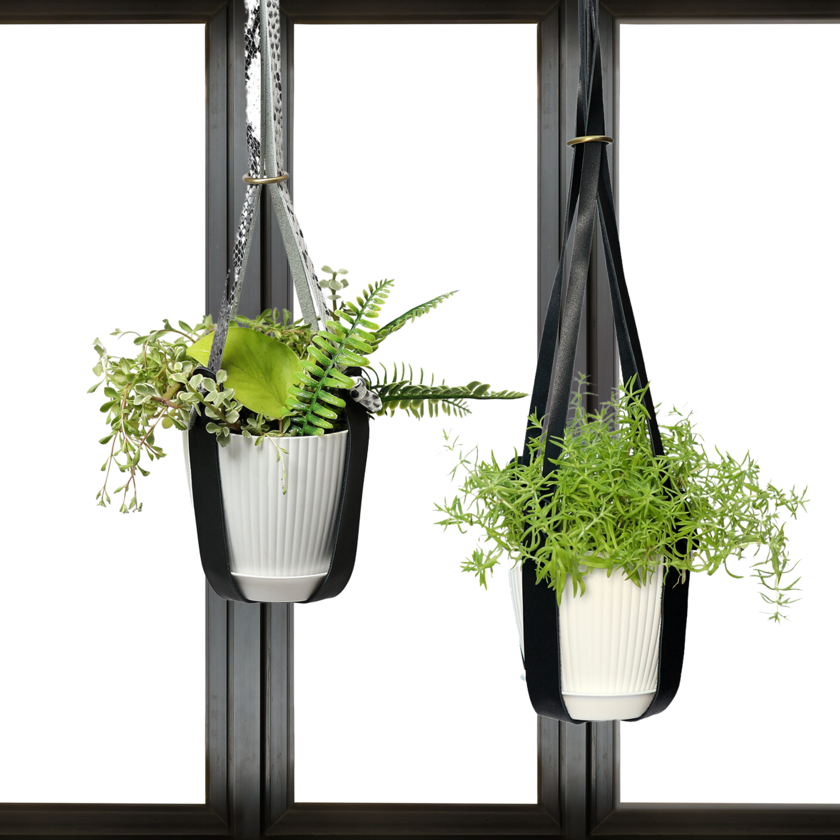 Genuine Leather Plant Hanger + Pot | Minimalist Hanging Planter | Modern Indoor/Outdoor Décor