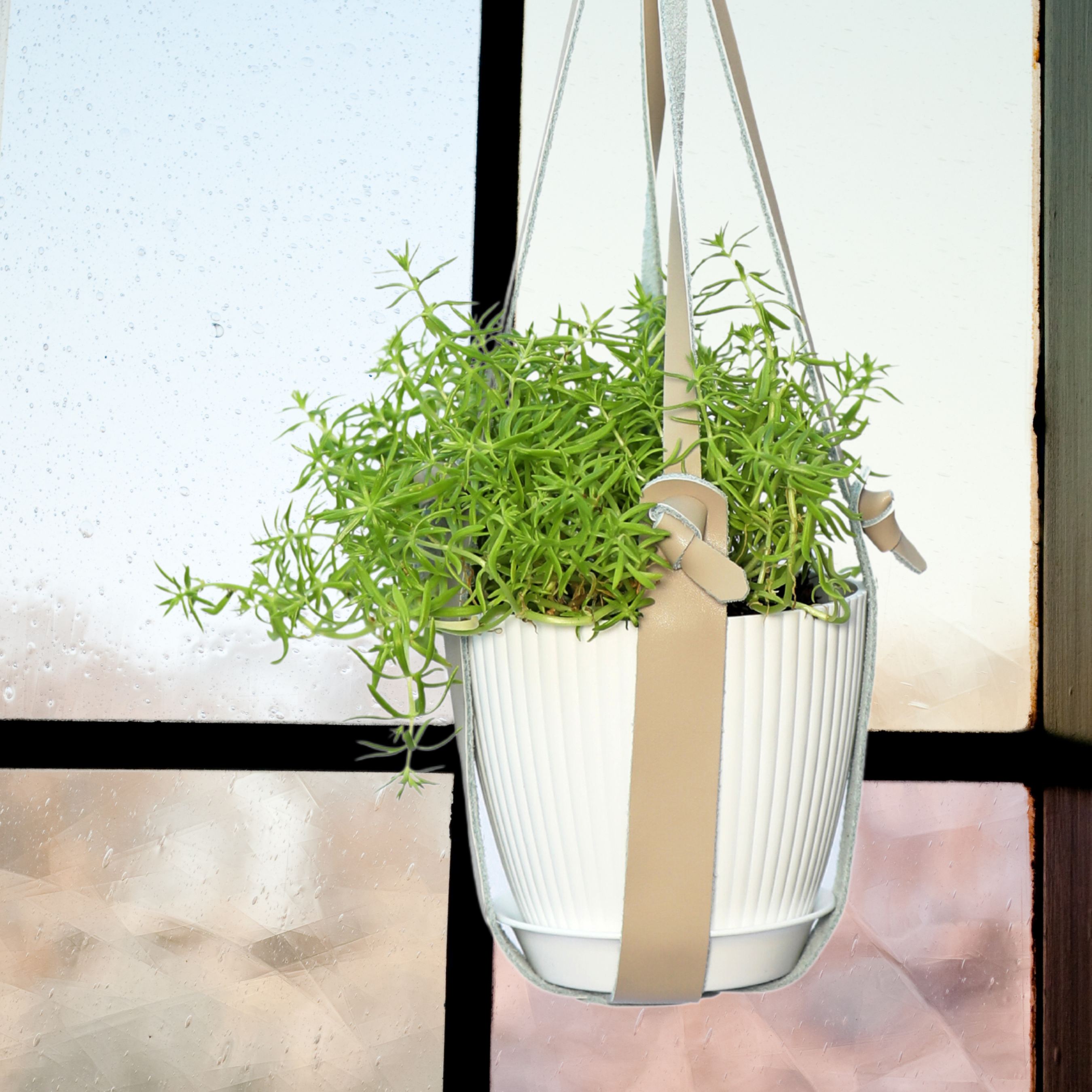 Genuine Leather Plant Hanger + Pot | Minimalist Hanging Planter | Modern Indoor/Outdoor Décor